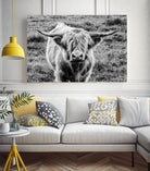 Highland Cow Staring Contest by Nathan Larson on GIANT ART - white animals highland cattle