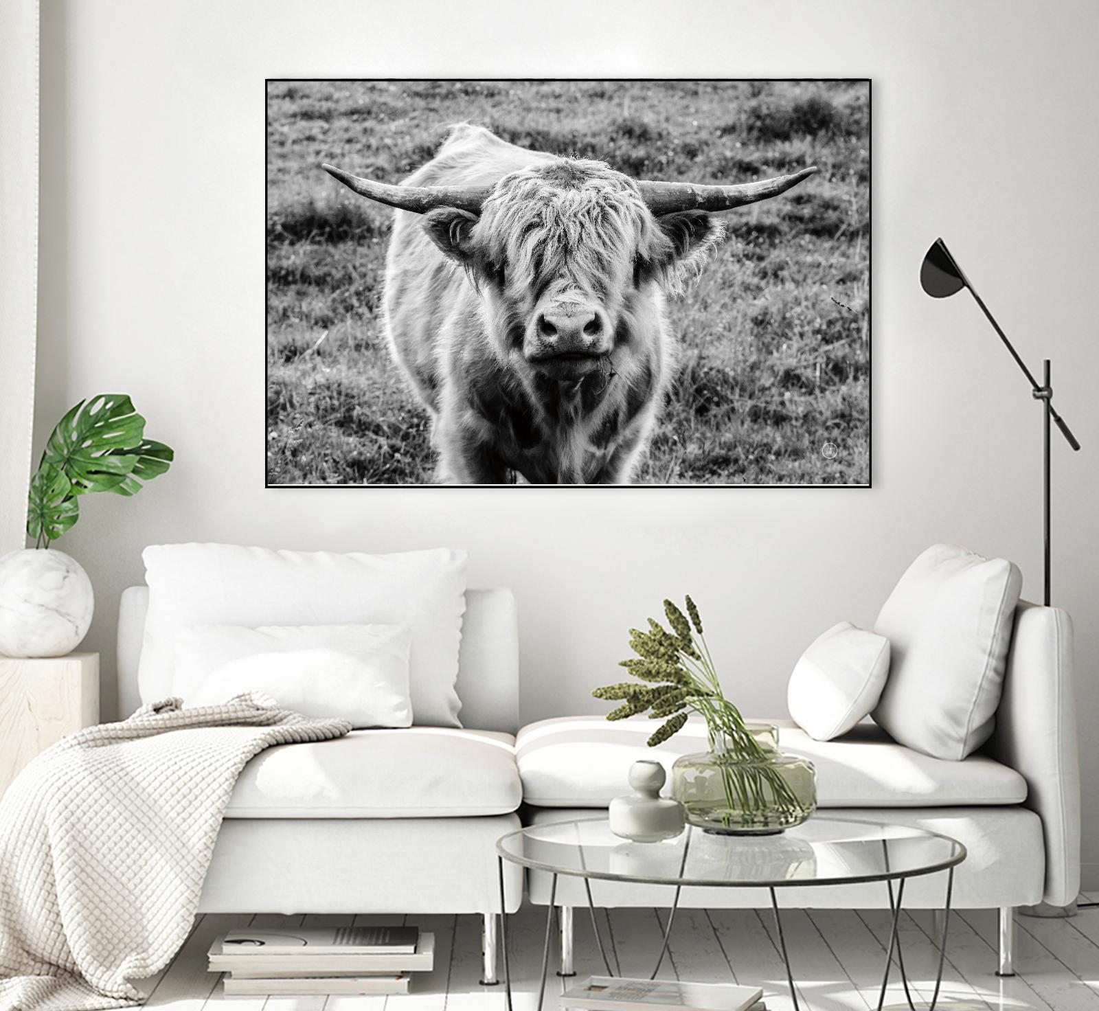 Highland Cow Staring Contest by Nathan Larson on GIANT ART - animals animals