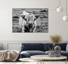 Highland Cow Staring Contest by Nathan Larson on GIANT ART - animals animals