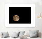 Moon Detail II by Nathan Larson on GIANT ART - black astronomy & celestial moon