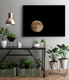 Moon Detail II by Nathan Larson on GIANT ART - black astronomy & celestial moon