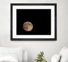 Moon Detail II by Nathan Larson on GIANT ART - black astronomy & celestial moon