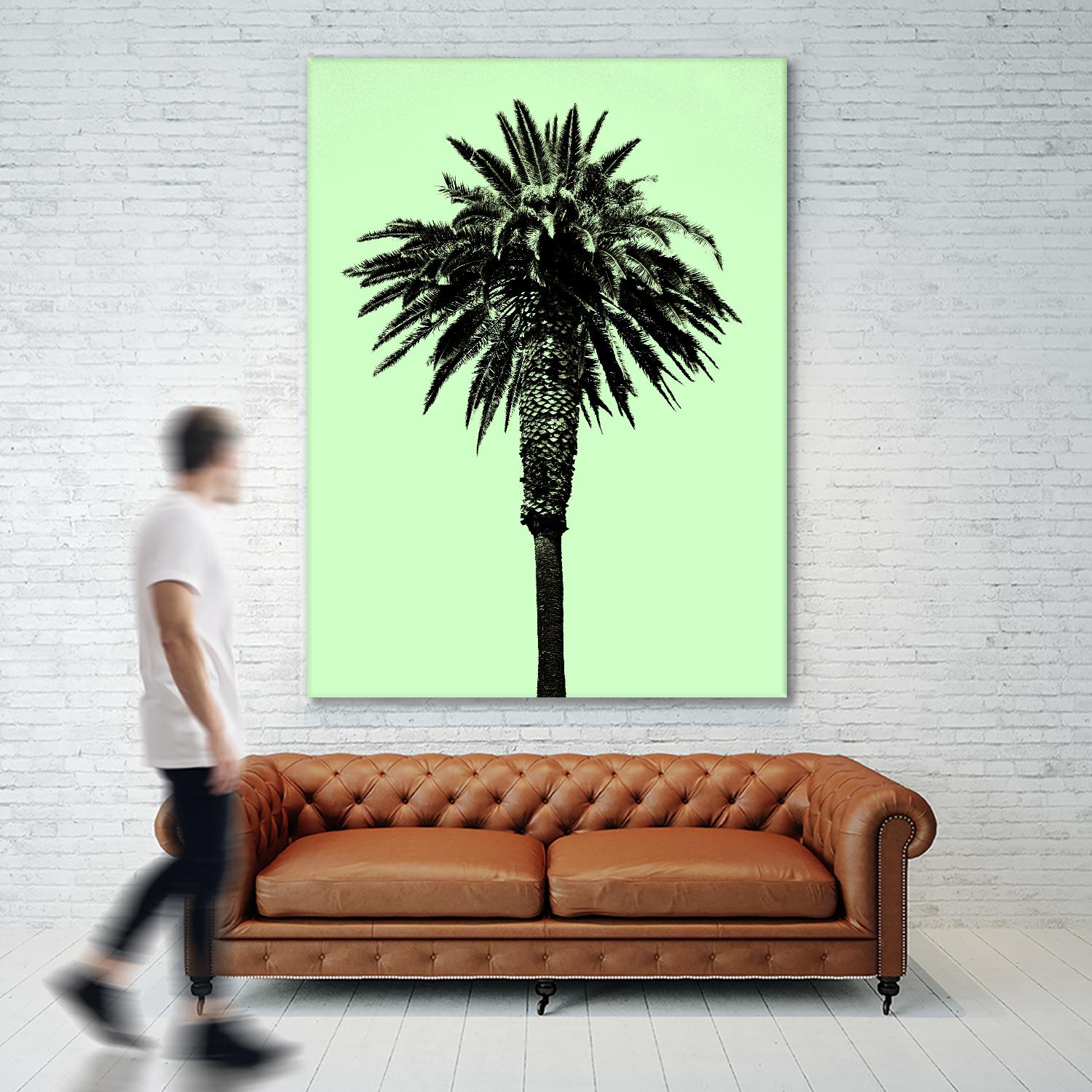 Palm Tree 1996 (Green) by Erik Asla on GIANT ART - multicolor photography; contemporary