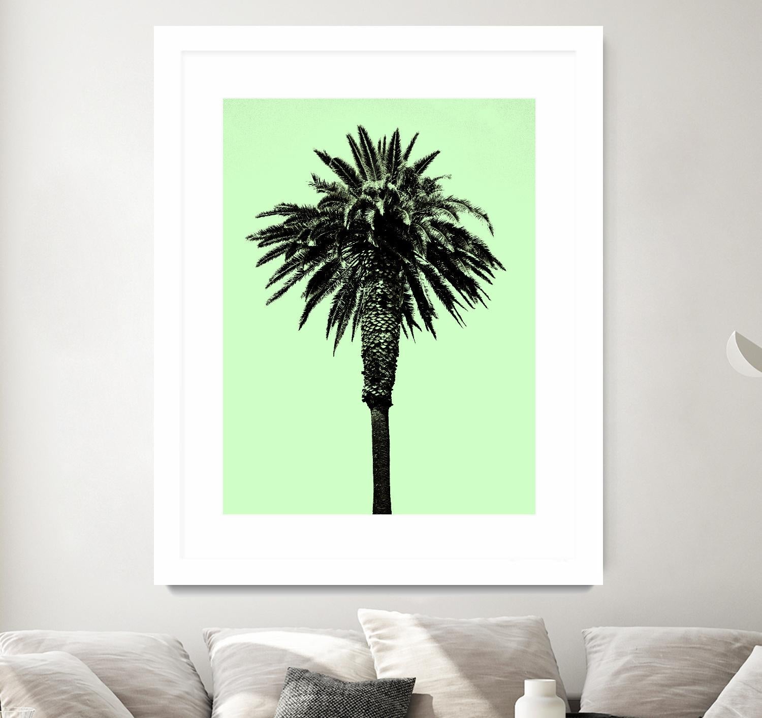 Palm Tree 1996 (Green) by Erik Asla on GIANT ART - multicolor photography; contemporary