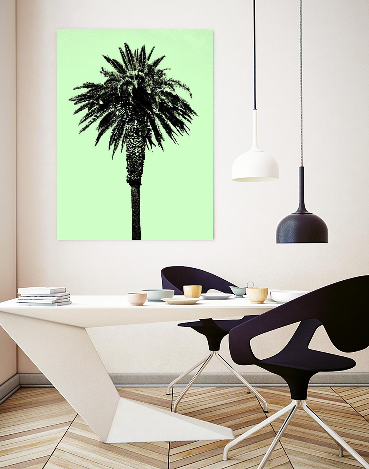 Palm Tree 1996 (Green) by Erik Asla on GIANT ART - multicolor photography; contemporary