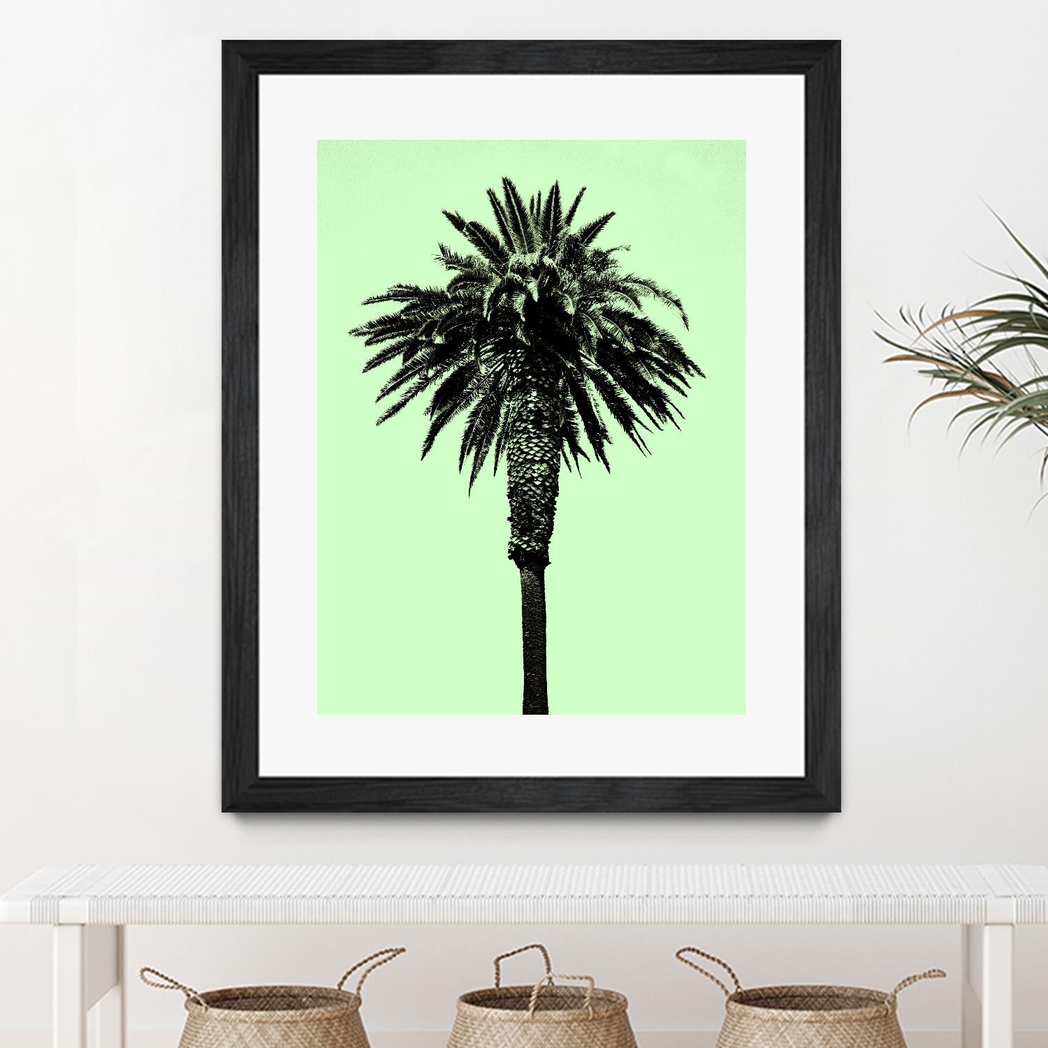 Palm Tree 1996 (Green) by Erik Asla on GIANT ART - multicolor photography; contemporary