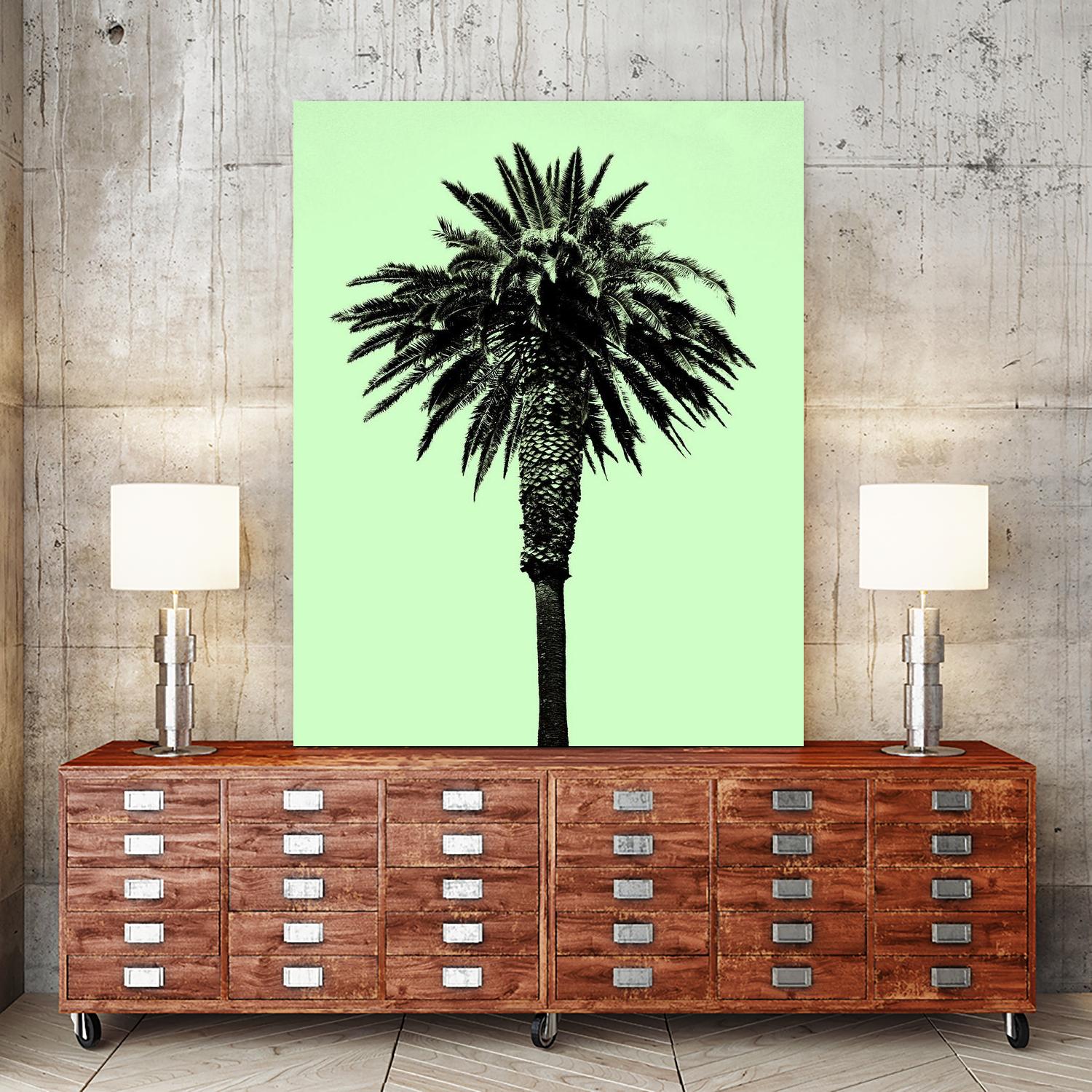 Palm Tree 1996 (Green) by Erik Asla on GIANT ART - multicolor photography; contemporary