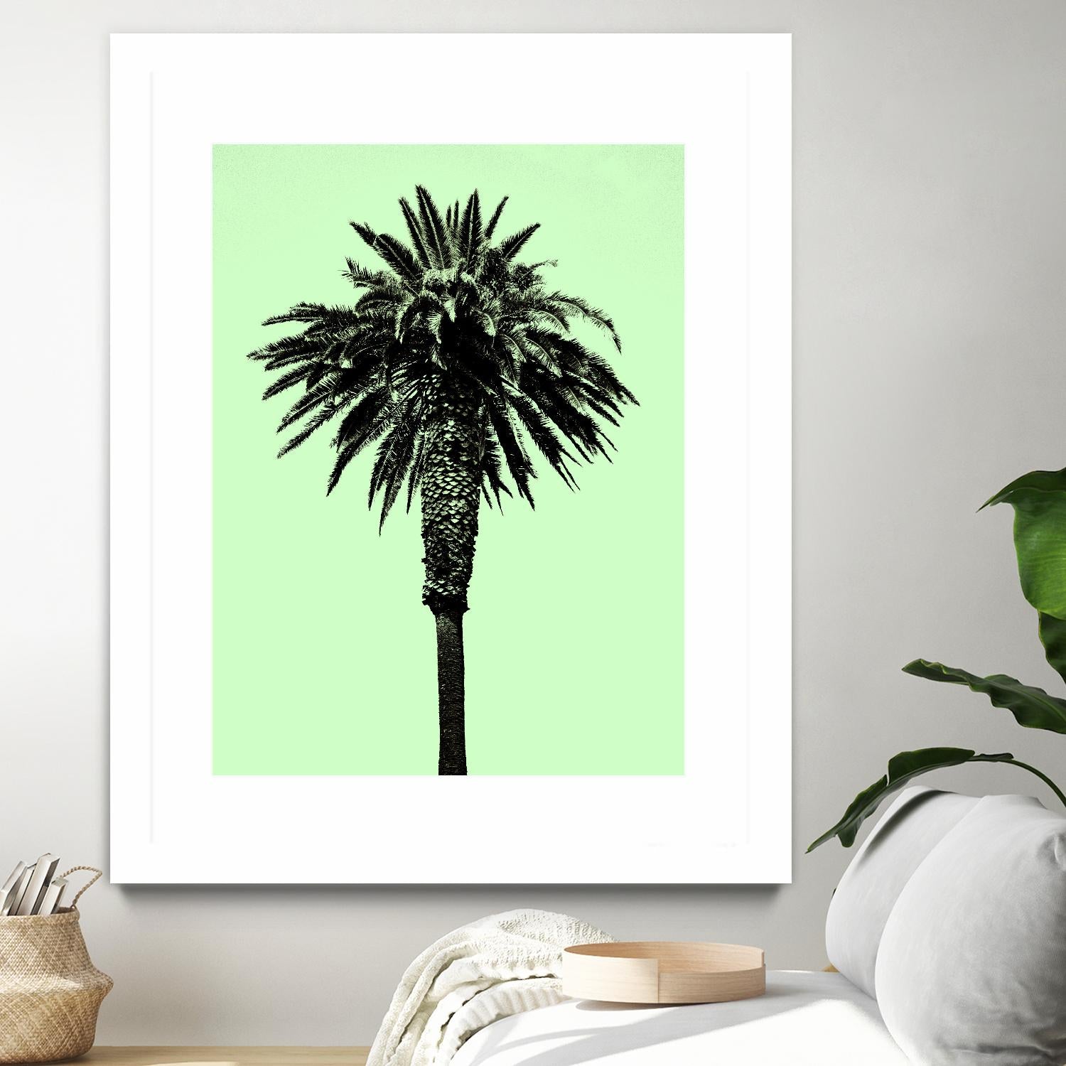 Palm Tree 1996 (Green) by Erik Asla on GIANT ART - multicolor photography; contemporary