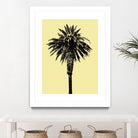 Palm Tree 1996 (Yellow) by Erik Asla on GIANT ART - multicolor photography; contemporary