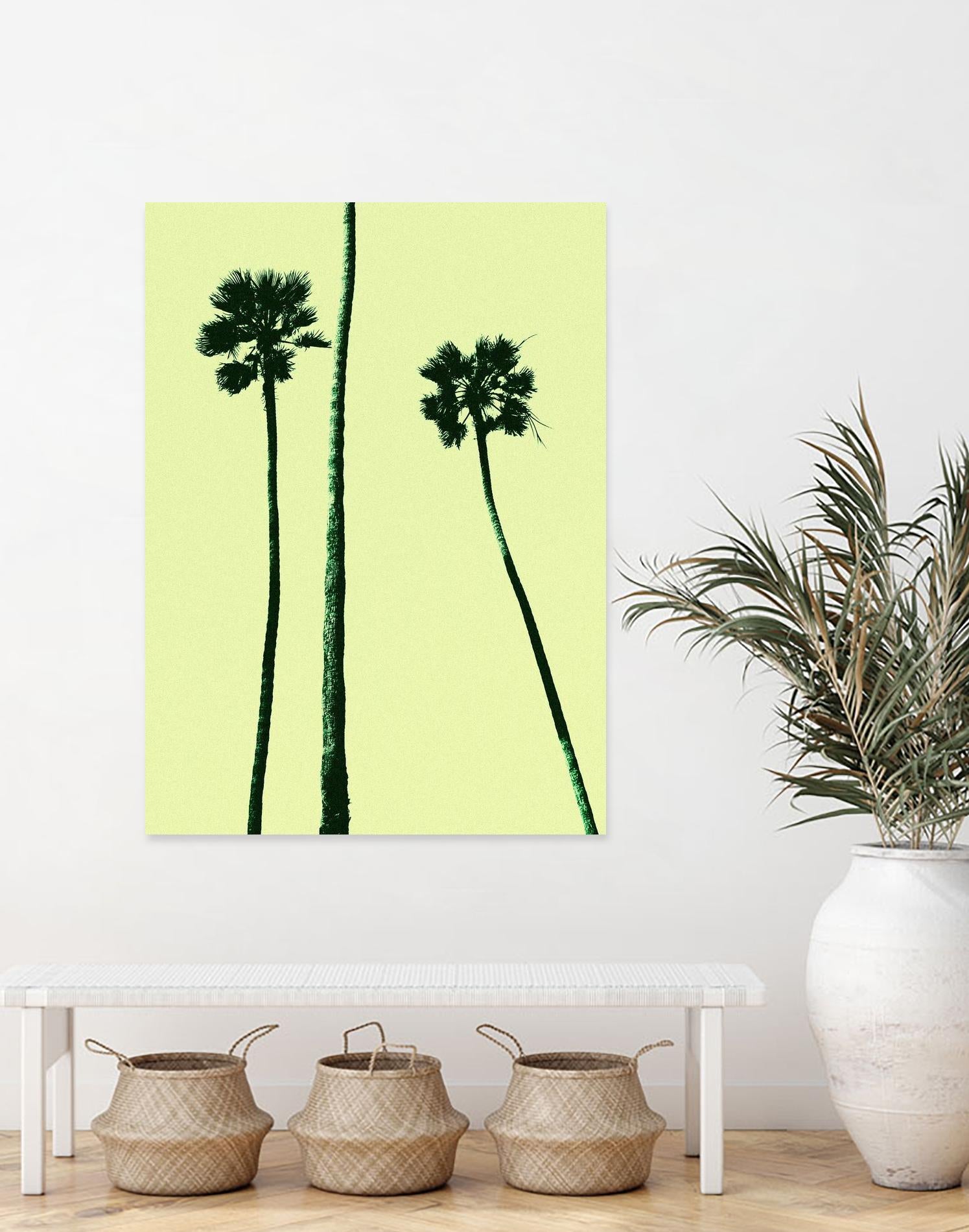 Palm Trees 2000 (Cyan) by Erik Asla on GIANT ART - multicolor photography; contemporary