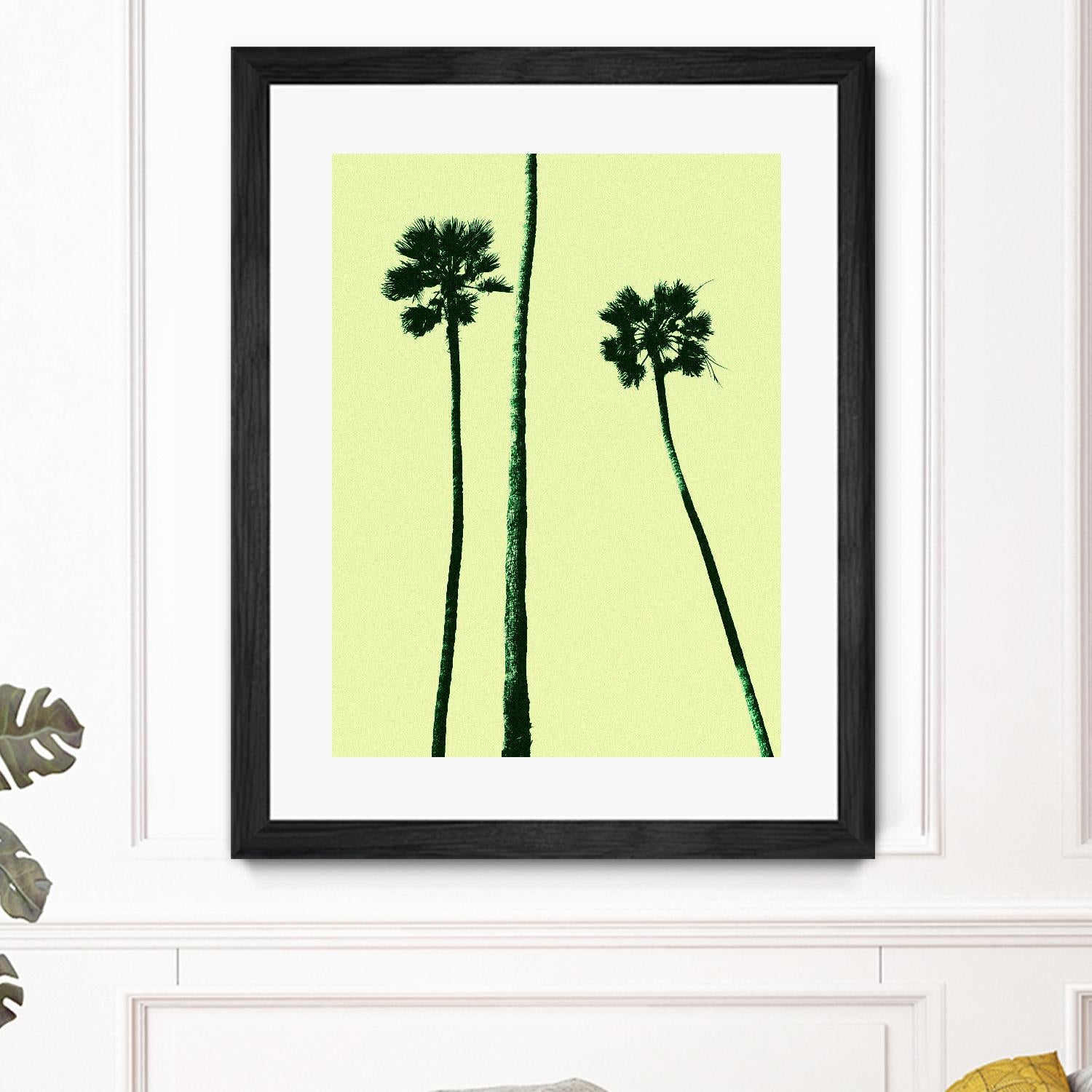 Palm Trees 2000 (Cyan) by Erik Asla on GIANT ART - multicolor photography; contemporary