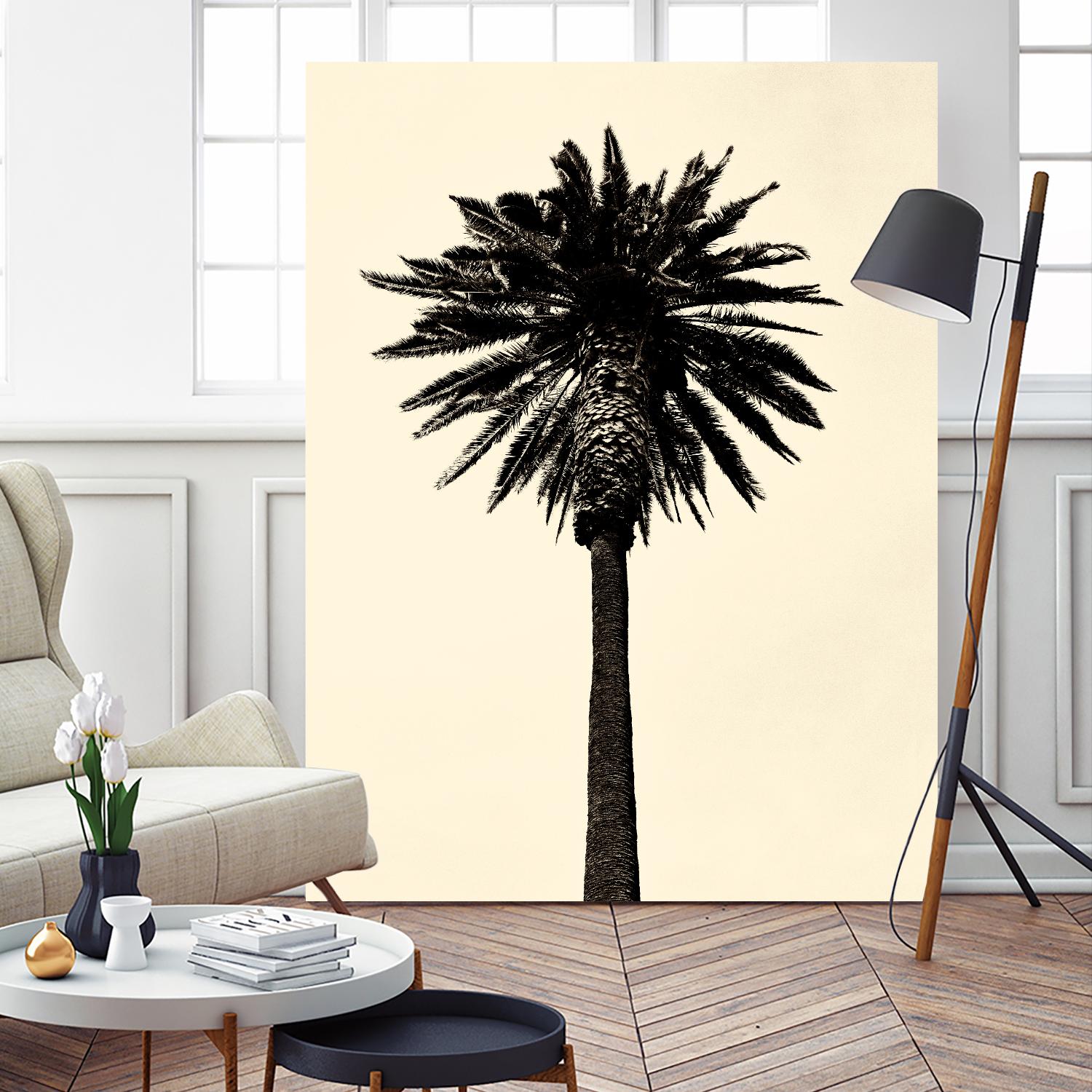 Palm Tree 1979 Tan by Erik Asla on GIANT ART - multicolor photography; contemporary