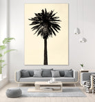 Palm Tree 1979 Tan by Erik Asla on GIANT ART - multicolor photography; contemporary