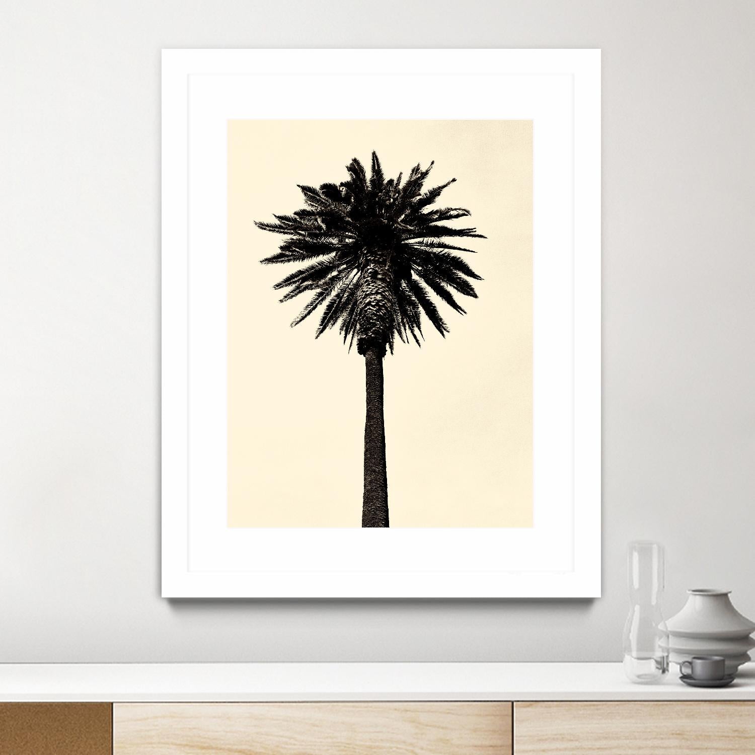 Palm Tree 1979 Tan by Erik Asla on GIANT ART - multicolor photography; contemporary