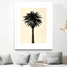 Palm Tree 1979 Tan by Erik Asla on GIANT ART - multicolor photography; contemporary