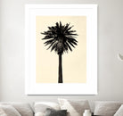 Palm Tree 1979 Tan by Erik Asla on GIANT ART - multicolor photography; contemporary