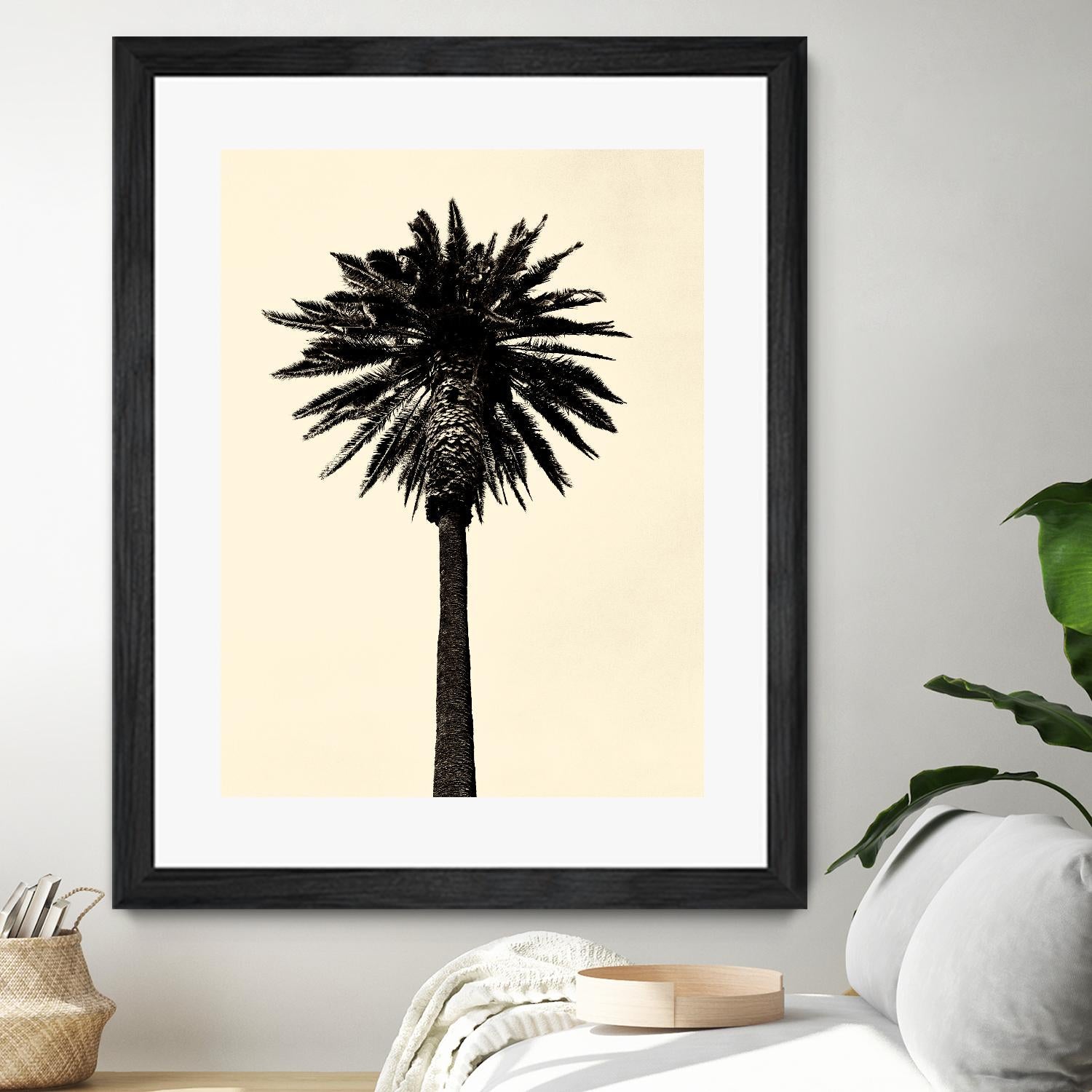 Palm Tree 1979 Tan by Erik Asla on GIANT ART - multicolor photography; contemporary