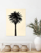 Palm Tree 1979 Tan by Erik Asla on GIANT ART - multicolor photography; contemporary