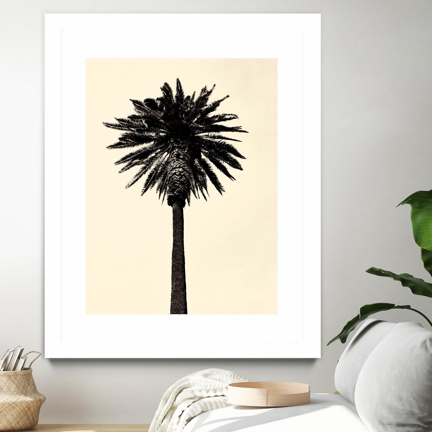 Palm Tree 1979 Tan by Erik Asla on GIANT ART - multicolor photography; contemporary