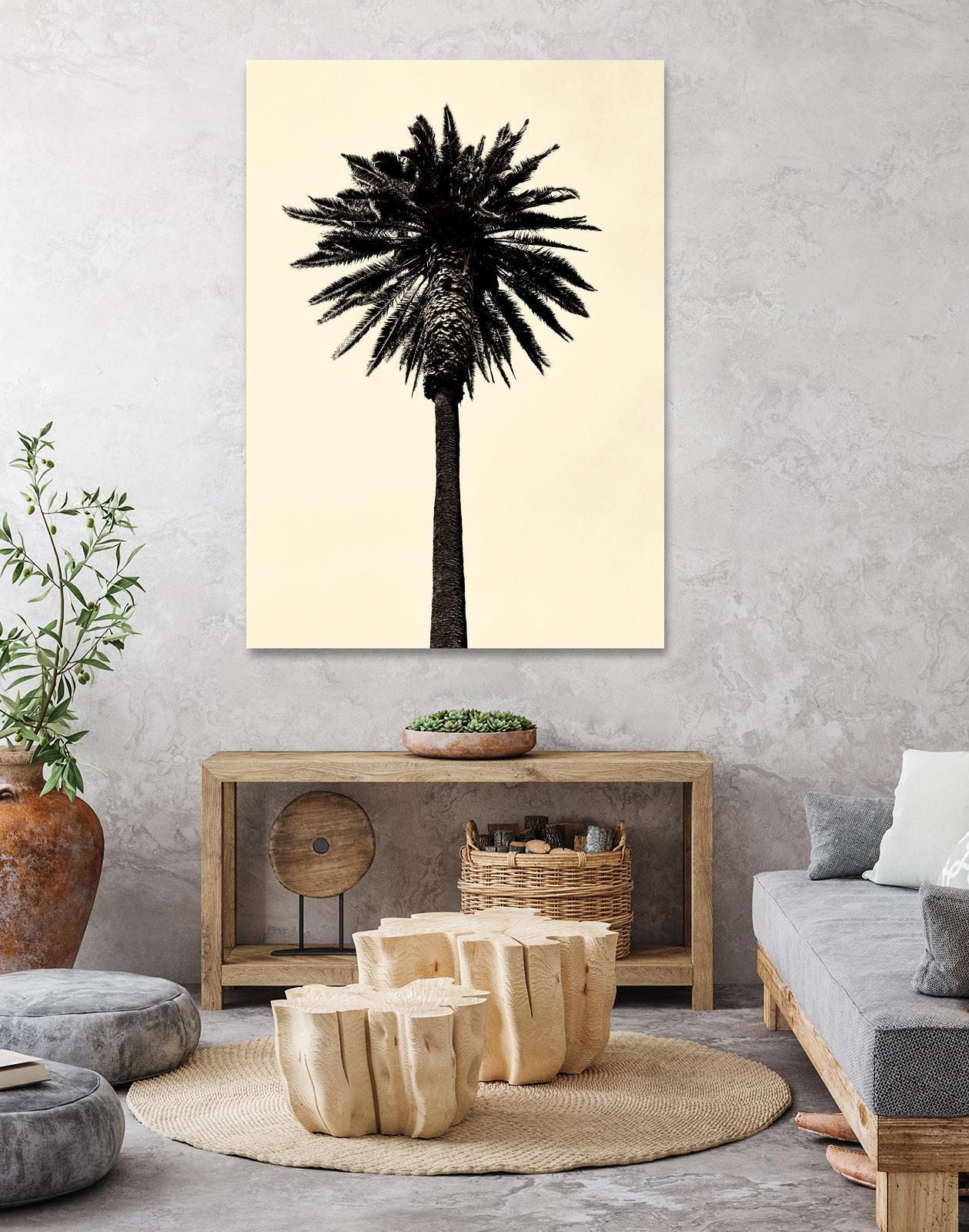 Palm Tree 1979 Tan by Erik Asla on GIANT ART - multicolor photography; contemporary