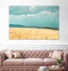 Harvest Shadow by Annie Bailey Art on GIANT ART - blue,beige landscapes, photography, farms, hills