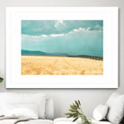 Harvest Shadow by Annie Bailey Art on GIANT ART - blue,beige landscapes, photography, farms, hills