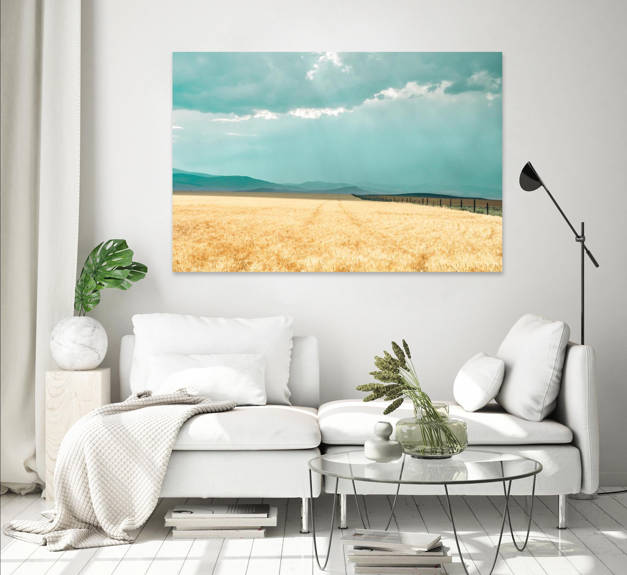 Harvest Shadow by Annie Bailey Art on GIANT ART - blue,beige landscapes, photography, farms, hills