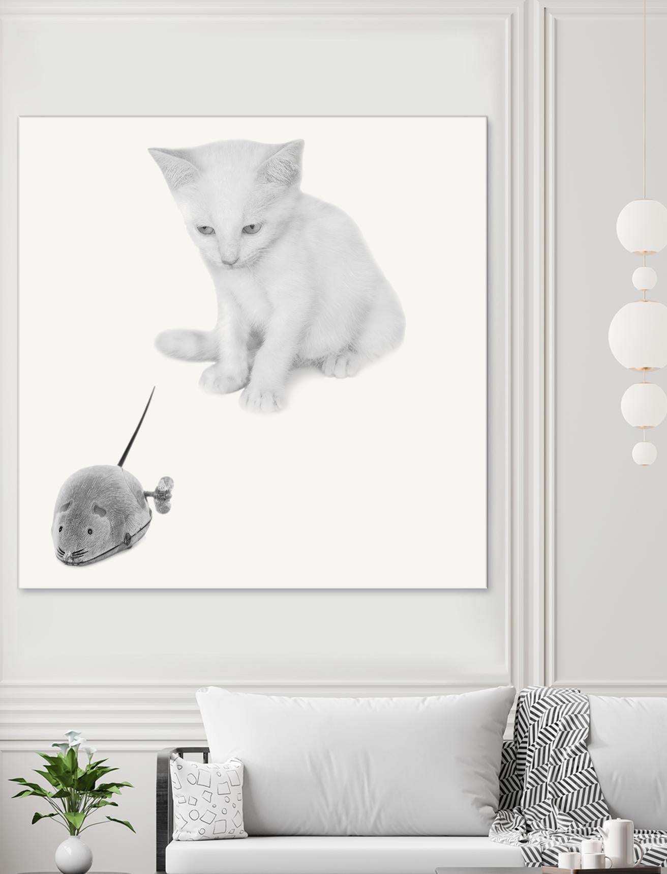 Qu’est-ce que c’est? by Jon Bertelli on GIANT ART - multicolor photography; animals