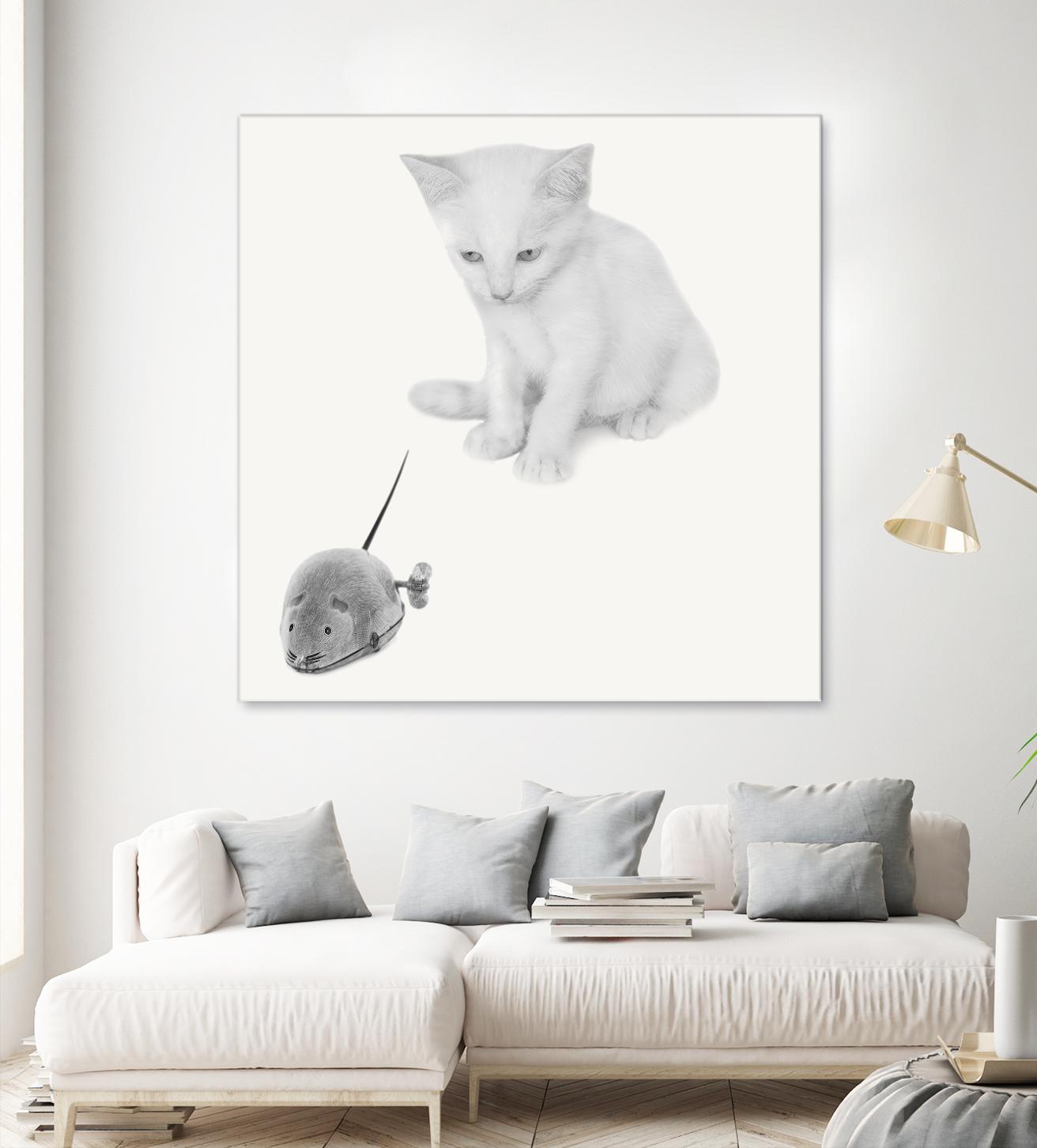 Qu’est-ce que c’est? by Jon Bertelli on GIANT ART - multicolor photography; animals