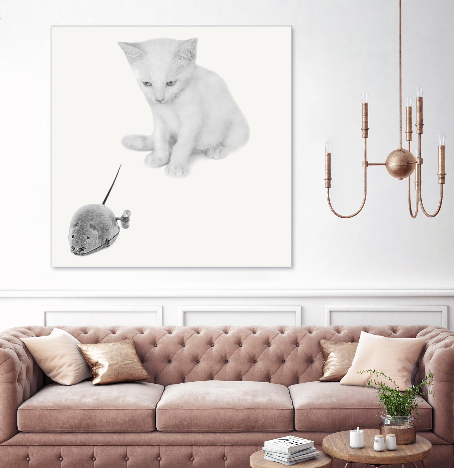 Qu’est-ce que c’est? by Jon Bertelli on GIANT ART - multicolor photography; animals