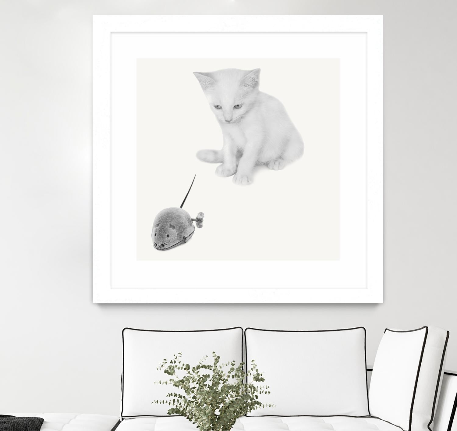 Qu’est-ce que c’est? by Jon Bertelli on GIANT ART - multicolor photography; animals