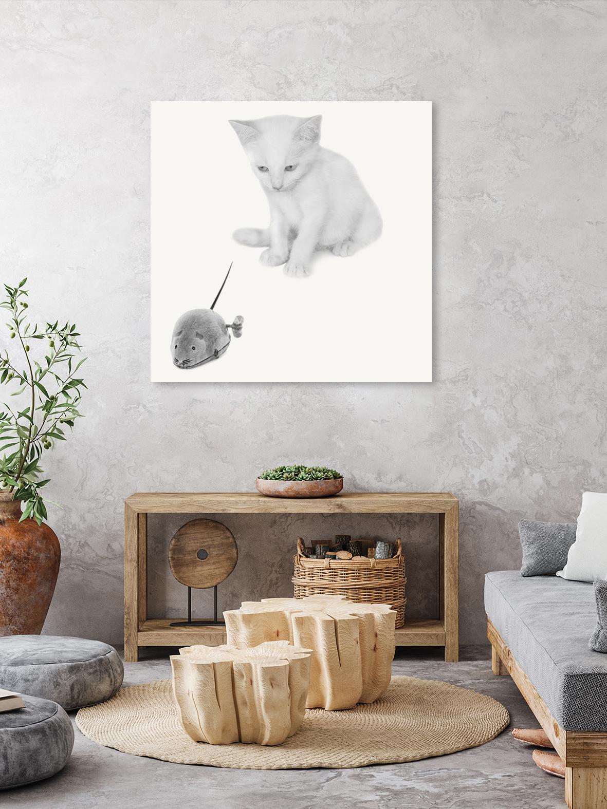 Qu’est-ce que c’est? by Jon Bertelli on GIANT ART - multicolor photography; animals