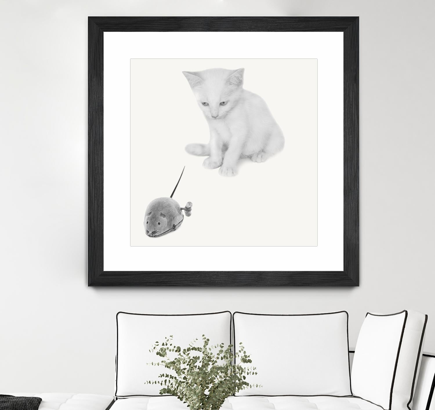 Qu’est-ce que c’est? by Jon Bertelli on GIANT ART - multicolor photography; animals