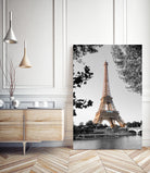 Matin sur la Seine by Alan Blaustein on GIANT ART - multicolor photography; people/places; landscapes