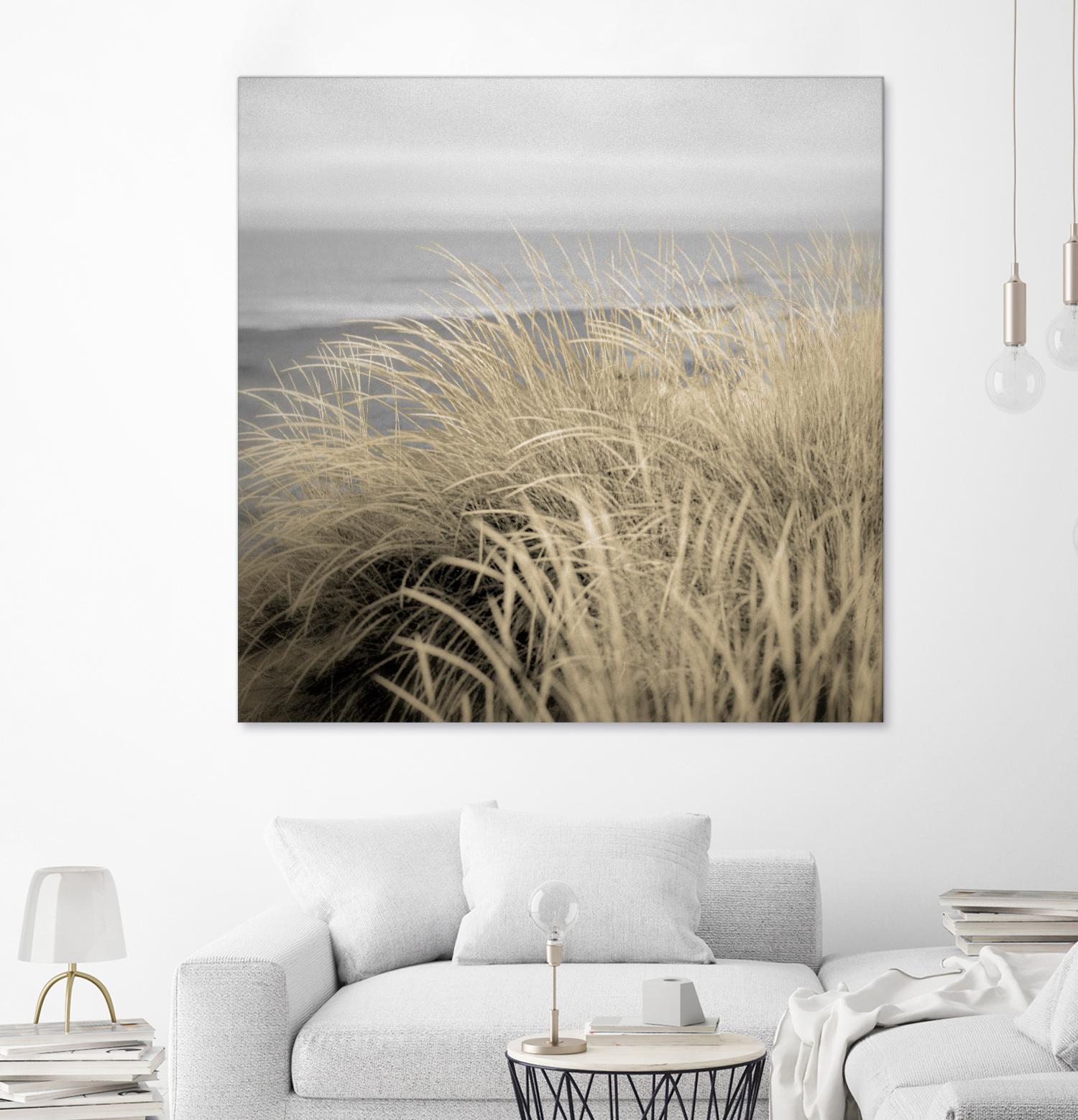 Tuscan Dunes #2A by Alan Blaustein on GIANT ART - multicolor photography; landscapes; coastal