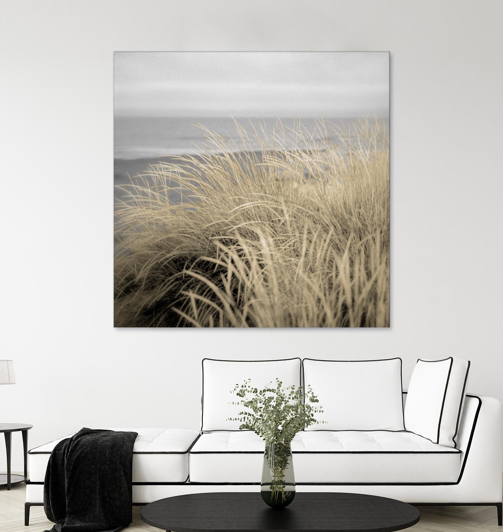 Tuscan Dunes #2A by Alan Blaustein on GIANT ART - multicolor photography; landscapes; coastal