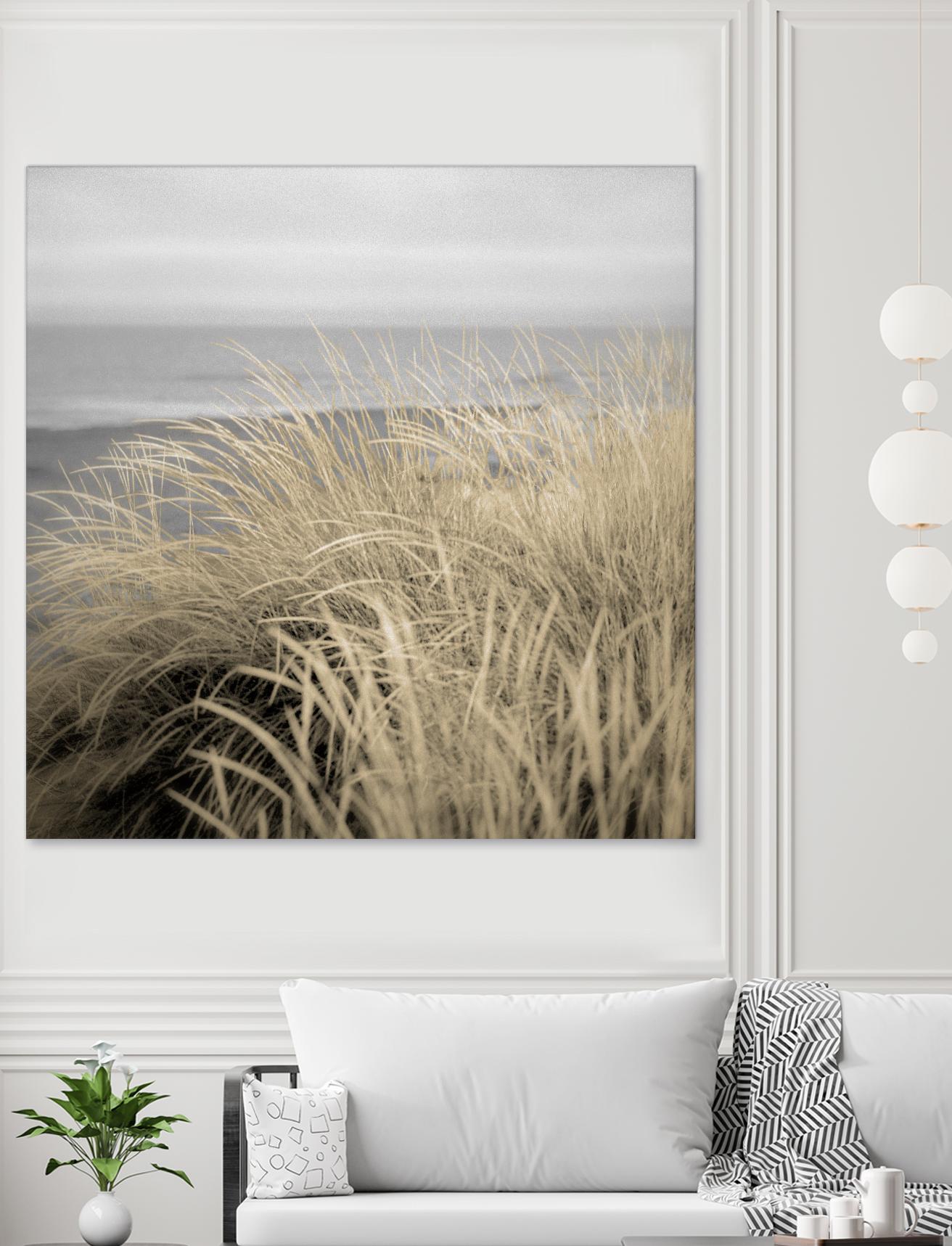 Tuscan Dunes #2A by Alan Blaustein on GIANT ART - multicolor photography; landscapes; coastal