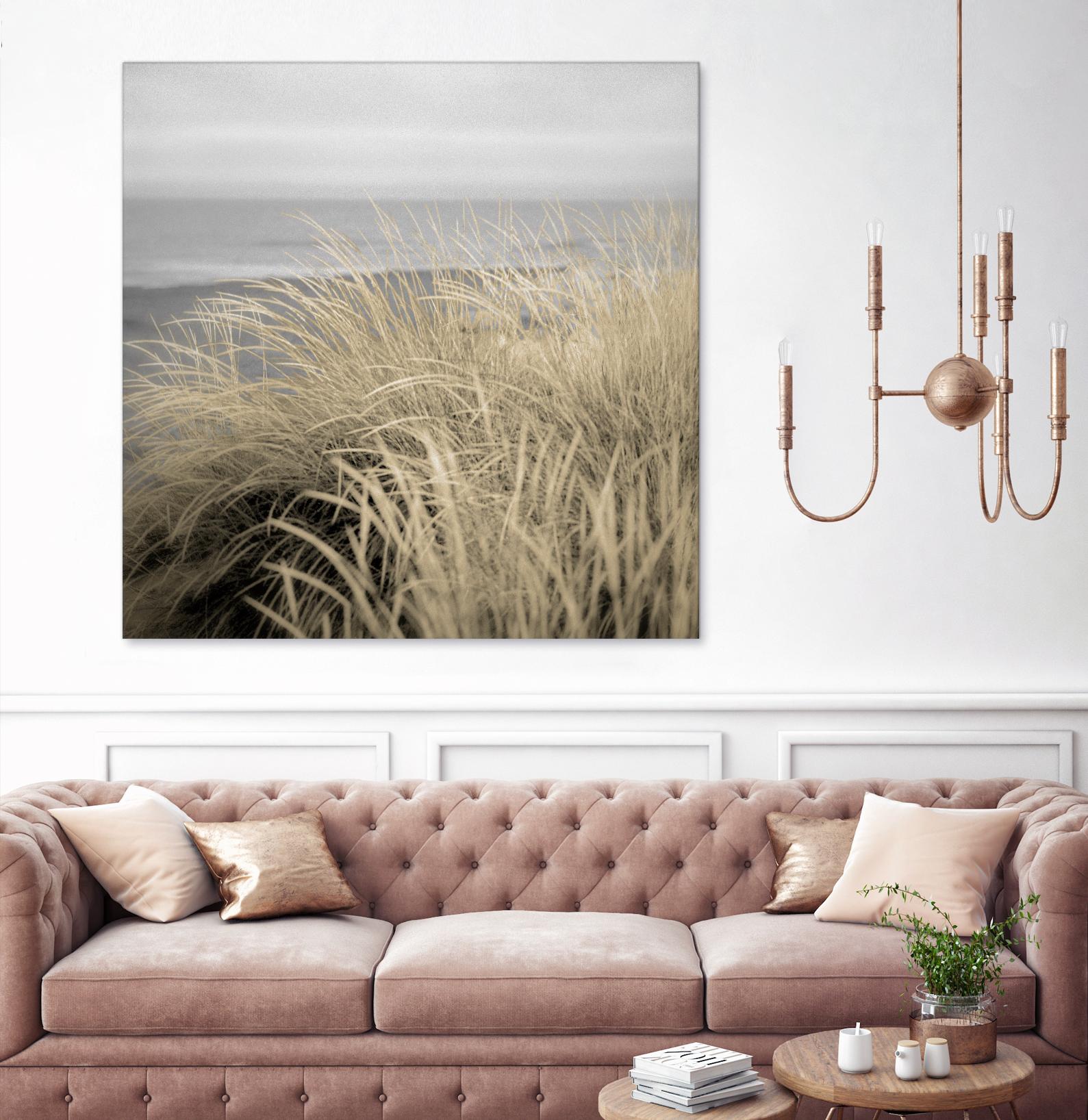 Tuscan Dunes #2A by Alan Blaustein on GIANT ART - multicolor photography; landscapes; coastal