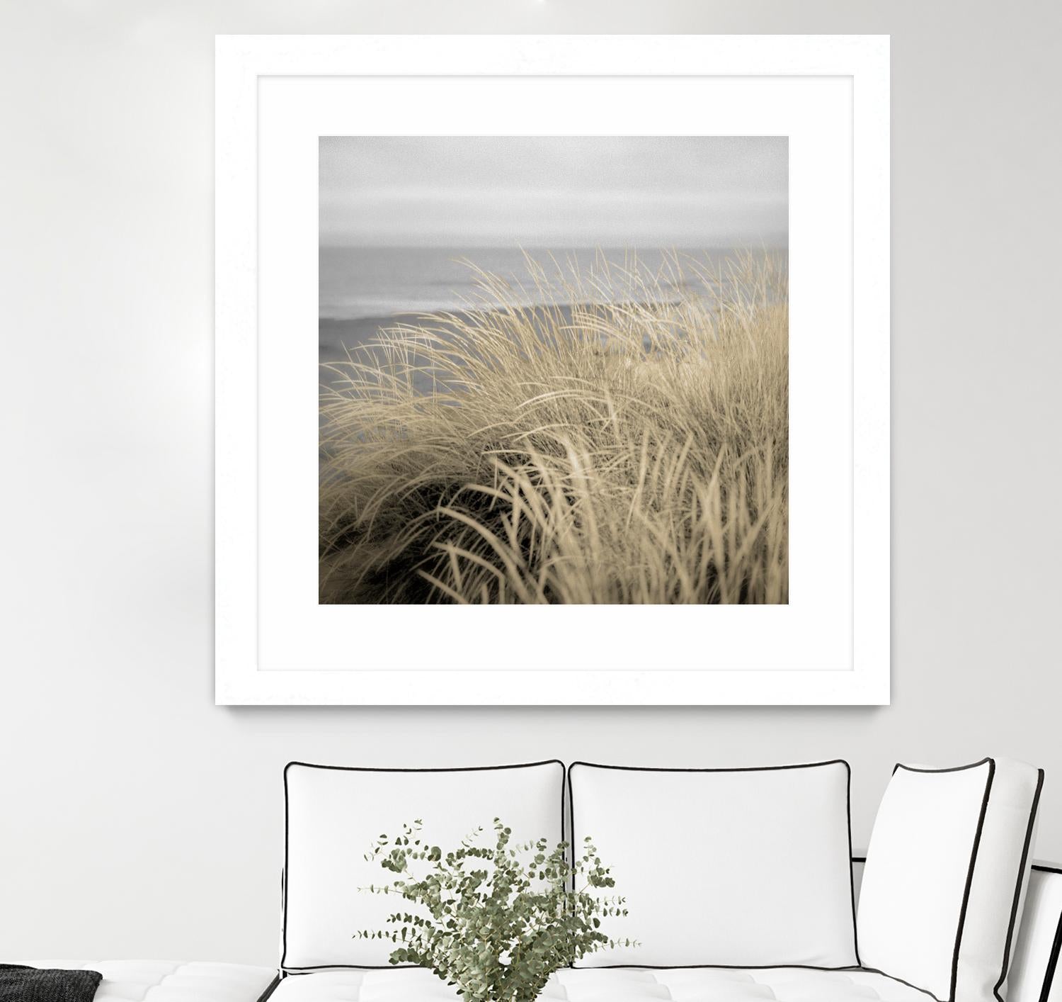 Tuscan Dunes #2A by Alan Blaustein on GIANT ART - multicolor photography; landscapes; coastal