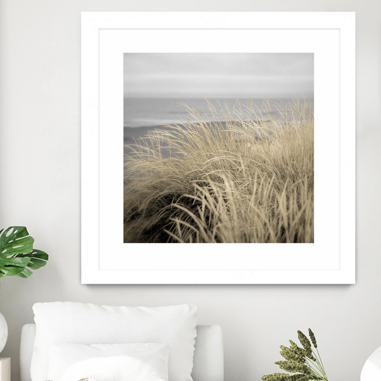 Tuscan Dunes #2A by Alan Blaustein on GIANT ART - multicolor photography; landscapes; coastal