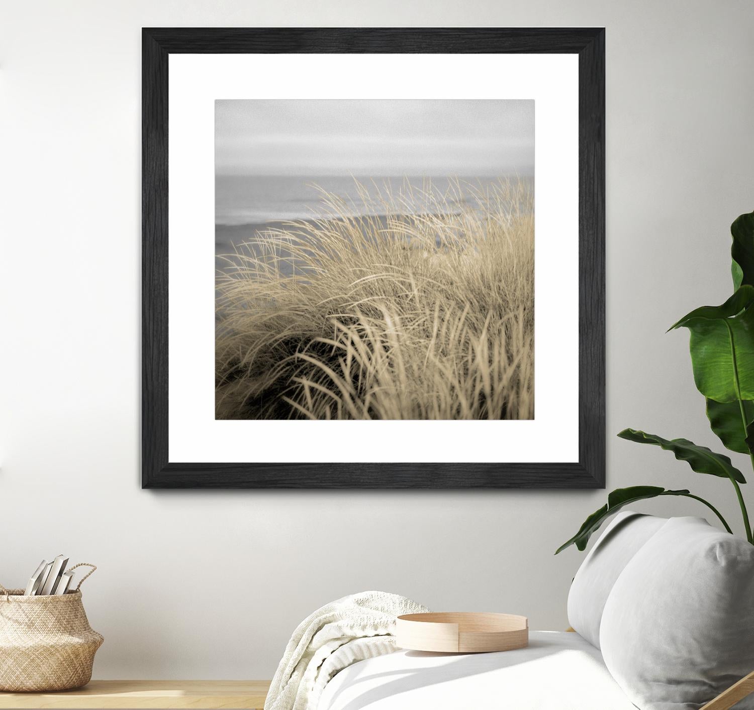 Tuscan Dunes #2A by Alan Blaustein on GIANT ART - multicolor photography; landscapes; coastal