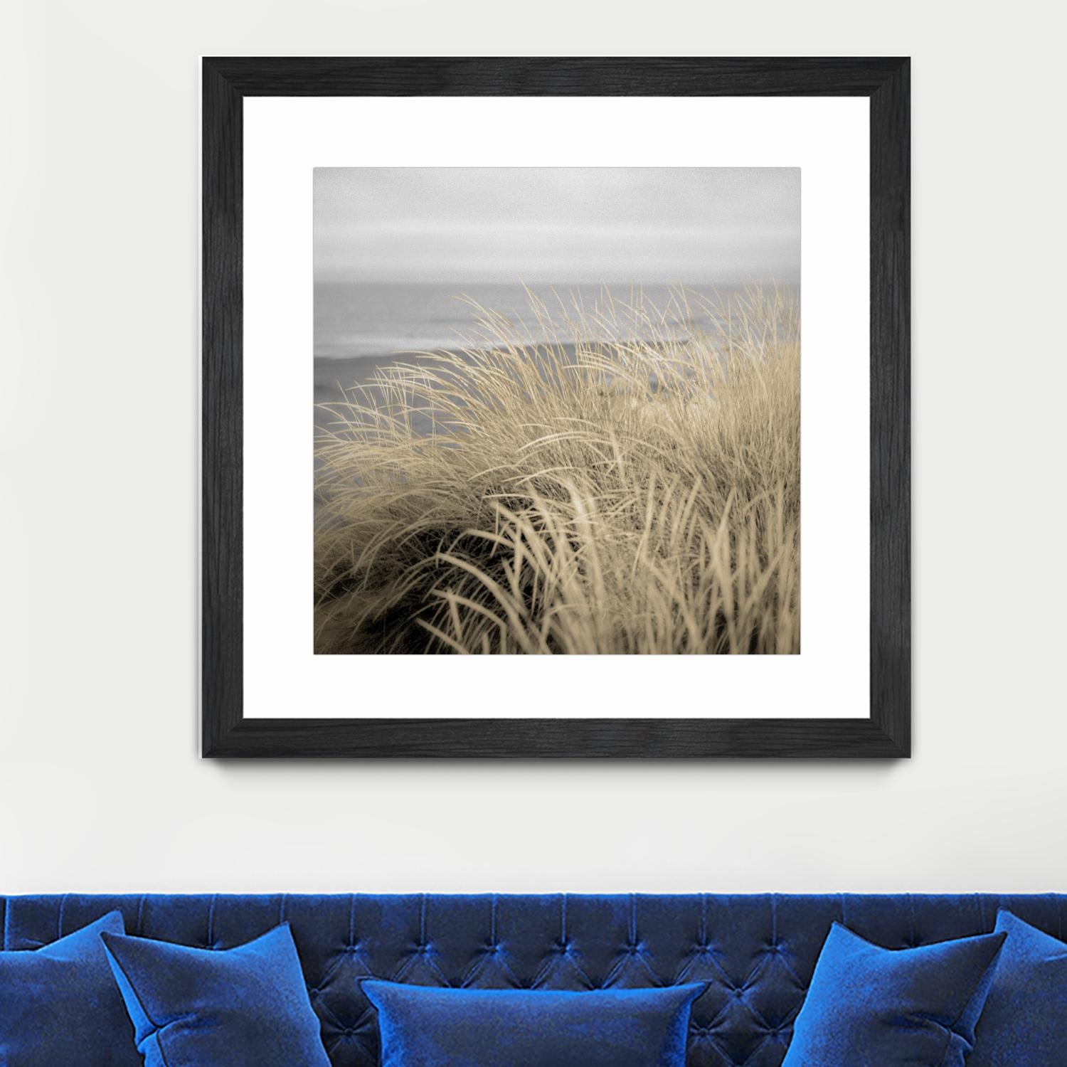 Tuscan Dunes #2A by Alan Blaustein on GIANT ART - multicolor photography; landscapes; coastal