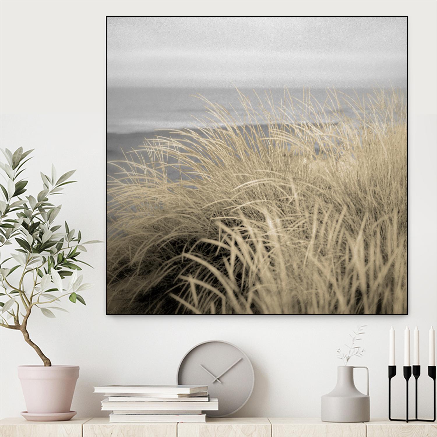 Tuscan Dunes #2A by Alan Blaustein on GIANT ART - multicolor photography; landscapes; coastal