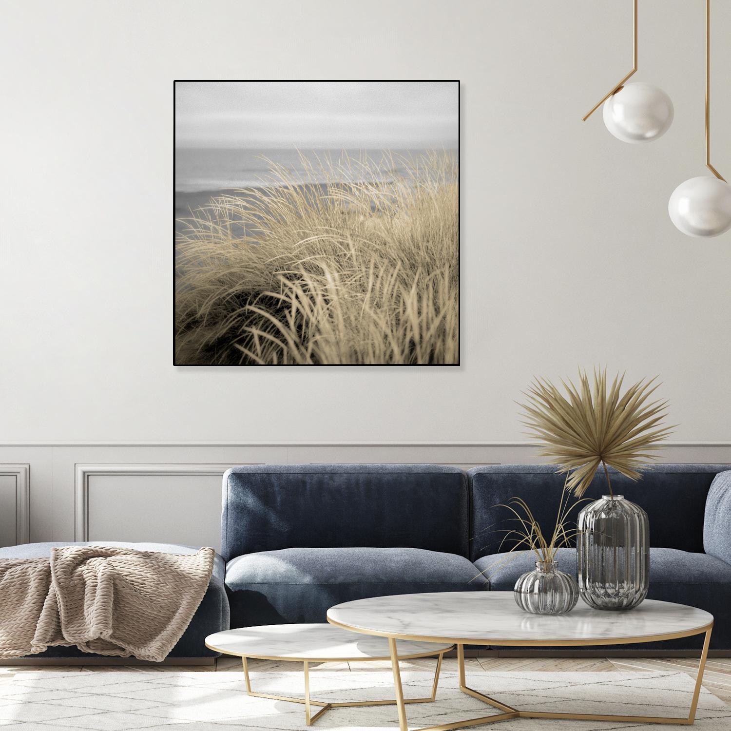 Tuscan Dunes #2A by Alan Blaustein on GIANT ART - multicolor photography; landscapes; coastal