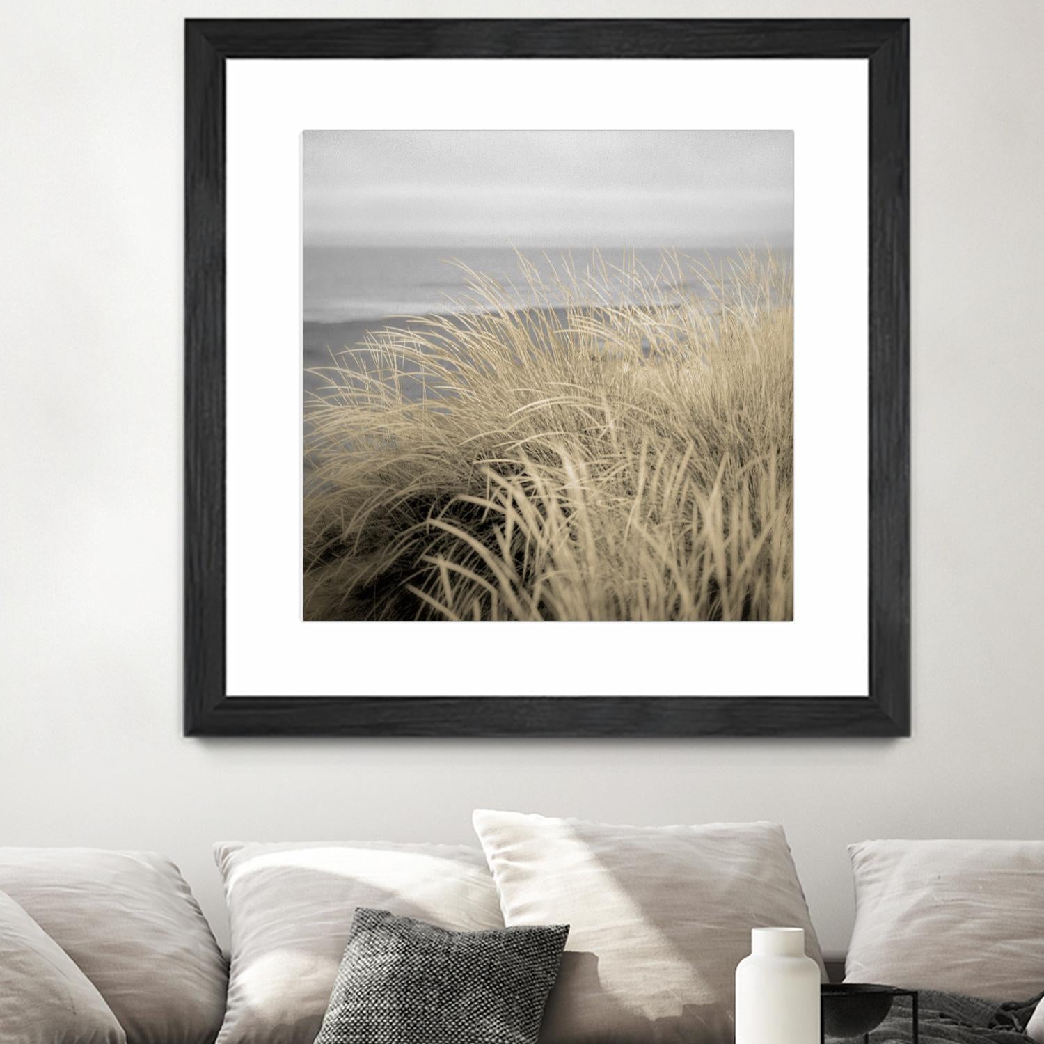 Tuscan Dunes #2A by Alan Blaustein on GIANT ART - multicolor photography; landscapes; coastal