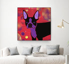 Bubbly Boston by Angela Bond on GIANT ART - multicolor animals; contemporary