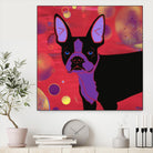 Bubbly Boston by Angela Bond on GIANT ART - multicolor animals; contemporary