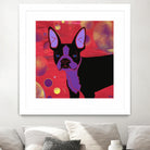 Bubbly Boston by Angela Bond on GIANT ART - multicolor animals; contemporary