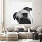 Qué Pasa? by Jon Bertelli on GIANT ART - multicolor animals; photography