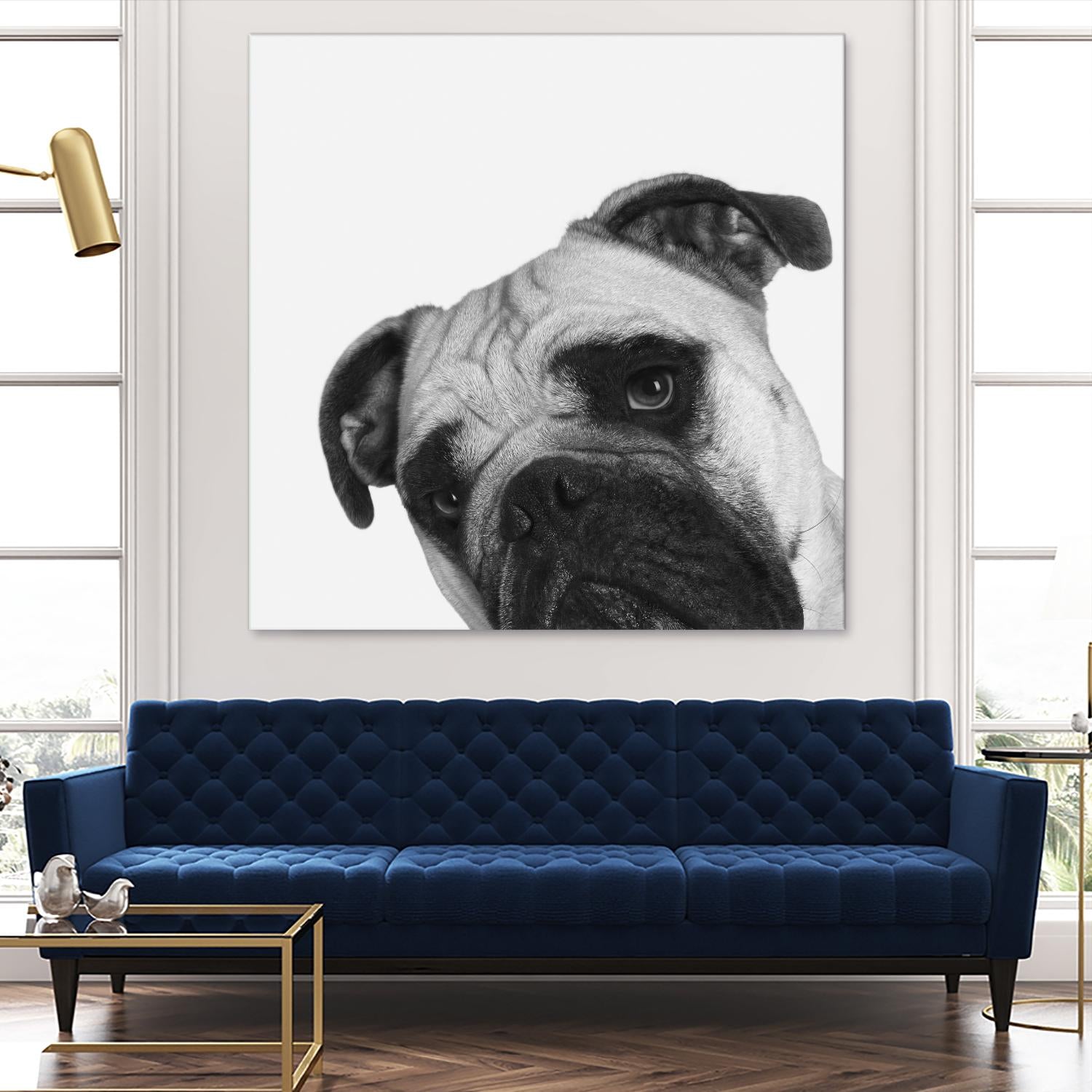 Qué Pasa? by Jon Bertelli on GIANT ART - multicolor animals; photography